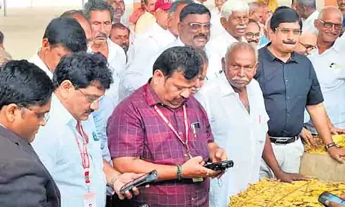 Andhra में तम्बाकू उत्पादकों को ऊंची कीमतों की आशंका