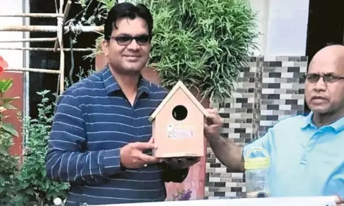 घरेलू गौरैया की संख्या में गिरावट चिंता का विषय घरेलू गौरैया की संख्या में गिरावट चिंता का विषय