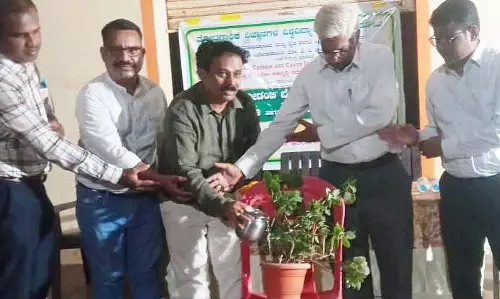 जिले में काजू उगाने की भरपूर संभावना है: गनीगेरा की सलाह