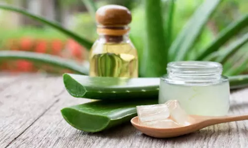 Beauty Tips : रात को एलोवेरा में मिलाएं ये 5 चीजें Beauty Tips : रात को एलोवेरा में मिलाएं ये 5 चीजें
