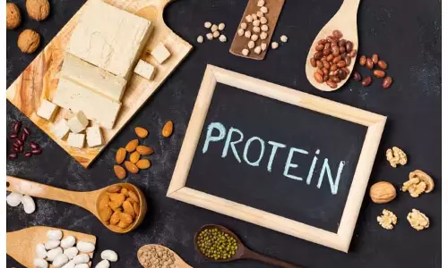 Healthy Life : शरीर के लिए कितना प्रोटीन Healthy Life : शरीर के लिए कितना प्रोटीन