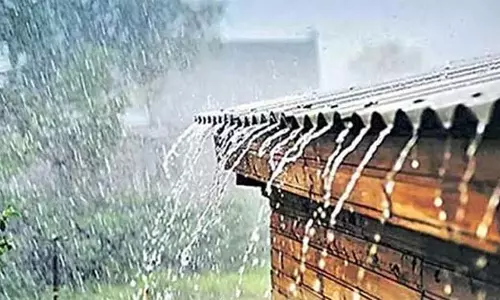अगले दो दिनों में तेलंगाना में बारिश का अनुमान