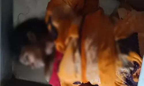 पति को शराब की लगी लत, तो पत्नी ने की खुदकुशी पति को शराब की लगी लत, तो पत्नी ने की खुदकुशी