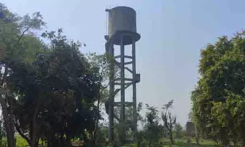 Naushera Pannuan में नागरिक समस्याएं बहुत हैं Naushera Pannuan में नागरिक समस्याएं बहुत हैं