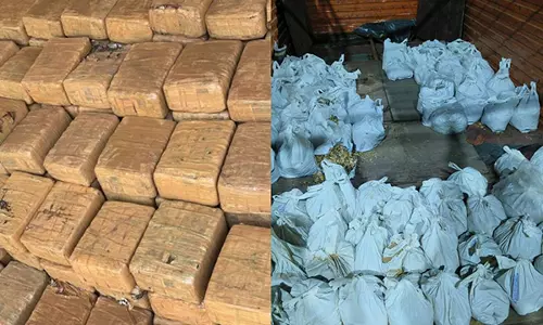 CBN नीमच ने विभिन्न नशा विरोधी अभियानों में 12 लोगों को किया गिरफ्तार, गांजा, पोस्त और अफीम जब्त की