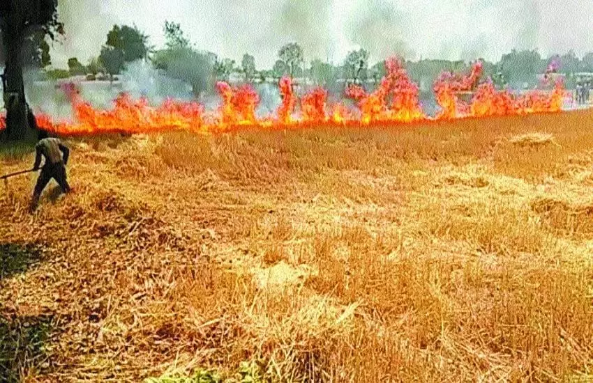 MP : भीषण आग, 60 एकड़ गेहूं की फसल जलकर राख MP : भीषण आग, 60 एकड़ गेहूं की फसल जलकर राख