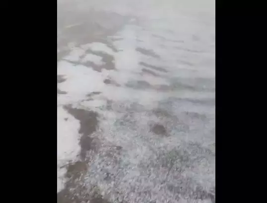 गर्मी के बीच बलरामपुर में ओले गिरे, वीडियो गर्मी के बीच बलरामपुर में ओले गिरे, वीडियो