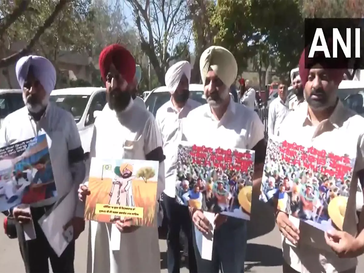 Punjab कांग्रेस के नेता प्रतिपक्ष ने किसानों को हटाने के मुद्दे पर राज्य सरकार के खिलाफ प्रदर्शन किया Punjab कांग्रेस के नेता प्रतिपक्ष ने किसानों को हटाने के मुद्दे पर राज्य सरकार के खिलाफ प्रदर्शन किया
