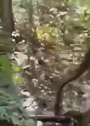 कांकेर मुठभेड़ का लाइव वीडियो, BSF ने किया जारी कांकेर मुठभेड़ का लाइव वीडियो, BSF ने किया जारी