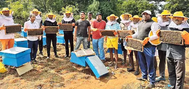 Andhra: शहद के लिए एक ब्रांड बनाने की योजना बना रहे Andhra: शहद के लिए एक ब्रांड बनाने की योजना बना रहे