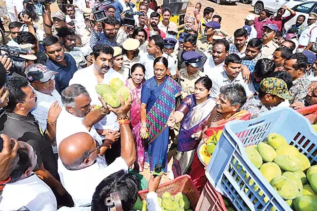 Telangana: बाजार में बंगिनापल्ली आमों ने पहले दिन रिकॉर्ड कीमत हासिल की Telangana: बाजार में बंगिनापल्ली आमों ने पहले दिन रिकॉर्ड कीमत हासिल की