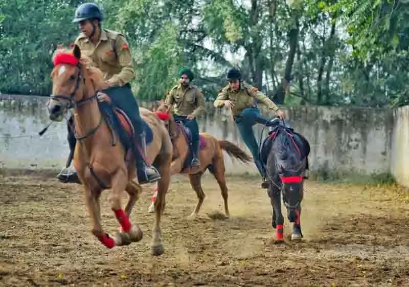 Ludhiana: पशु चिकित्सा महाविद्यालय के कैडेट साहसिक कार्य के लिए तैयार Ludhiana: पशु चिकित्सा महाविद्यालय के कैडेट साहसिक कार्य के लिए तैयार