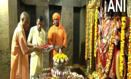 CM Yogi ने पाटेश्वरी देवी मंदिर में पूजा-अर्चना की, बलरामपुर में गौशाला में गायों को चारा खिलाया