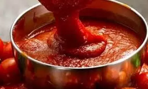 UP News: नकली सॉस बनाने वाली फैक्ट्री का भंडाफोड़ UP News: नकली सॉस बनाने वाली फैक्ट्री का भंडाफोड़