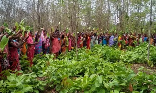 विशेषज्ञों ने वनों की भूमिका पर नए सिरे से ध्यान देने का आह्वान किया