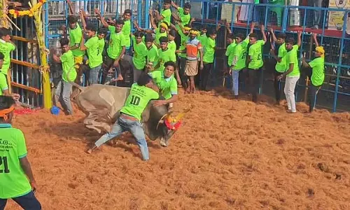 विरालिमलाई कीलाकुरिची जल्लीकट्टू प्रतियोगिता: 5 खिलाड़ी घायल!