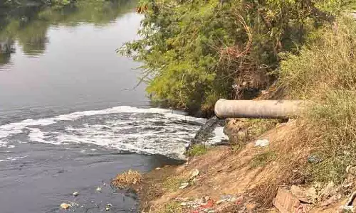 Punjab के जल निकायों में अपशिष्टों के छोड़े जाने पर रोक लगाएं, बैंस ने हिमाचल के मुख्यमंत्री से कहा Punjab के जल निकायों में अपशिष्टों के छोड़े जाने पर रोक लगाएं, बैंस ने हिमाचल के मुख्यमंत्री से कहा