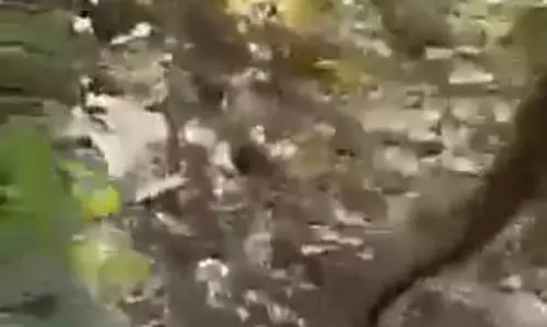 कांकेर मुठभेड़ का लाइव वीडियो, BSF ने किया जारी