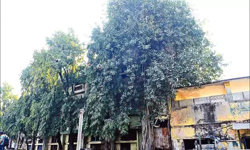 गुंटूर के BR स्टेडियम की यह दुर्दशा