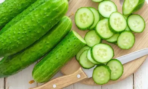 Health : डायबिटीज में कड़वा खीरा फायदेमंद या नहीं?