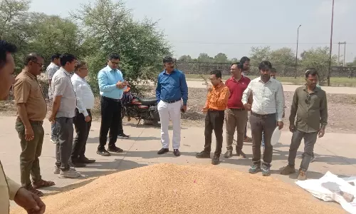 Bundi: समर्थन मूल्य के तहत बड़ा नया गांव में गेहूं खरीद कार्य प्रारंभ