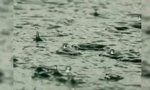 Asifabad के कुछ हिस्सों में बेमौसम बारिश और ओलावृष्टि