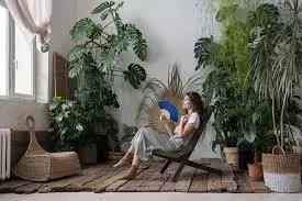 Lifestyle: गर्मियों में बिना एसी-कूलर के कैसे रखें अपने घर को ठंडा, अपनाएं ये टिप्स Lifestyle: गर्मियों में बिना एसी-कूलर के कैसे रखें अपने घर को ठंडा, अपनाएं ये टिप्स