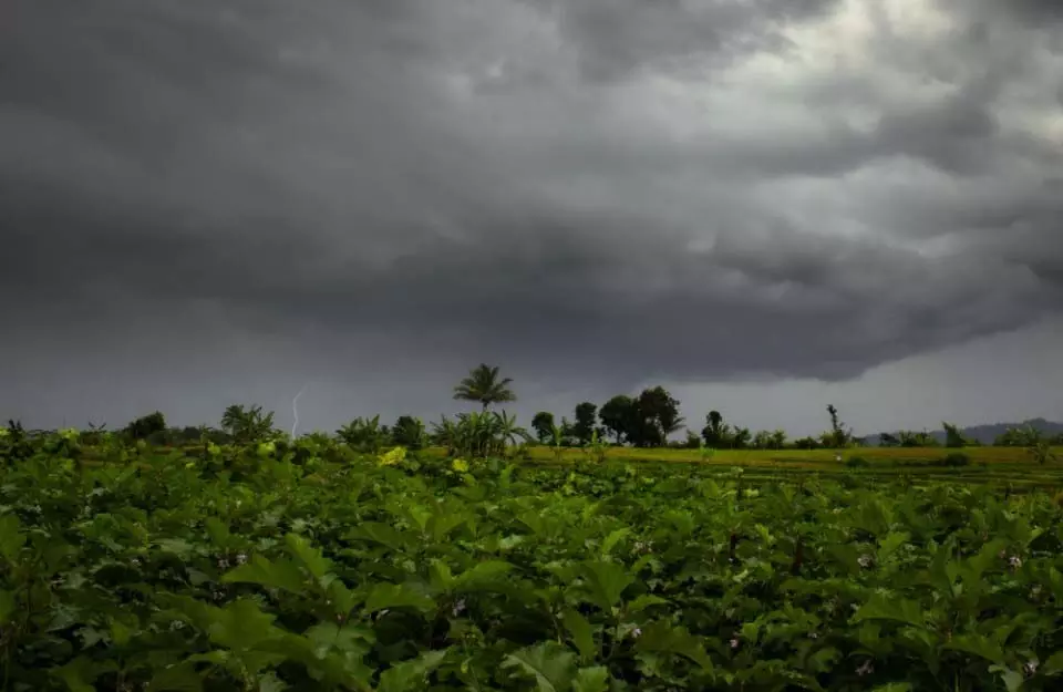 MP Weather Update : जानें कैसा रहेगा आज एमपी का मौसम MP Weather Update : जानें कैसा रहेगा आज एमपी का मौसम