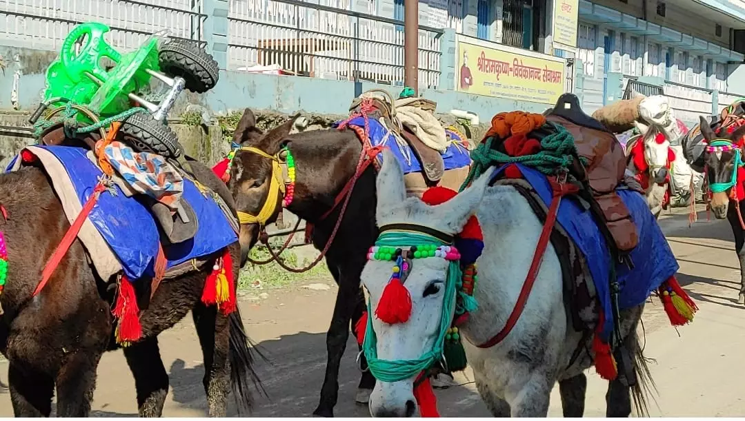 Rudraprayag: केदारनाथ यात्रा के लिए घोडा-खच्चरों का पंजीकरण शुरू हुआ Rudraprayag: केदारनाथ यात्रा के लिए घोडा-खच्चरों का पंजीकरण शुरू हुआ
