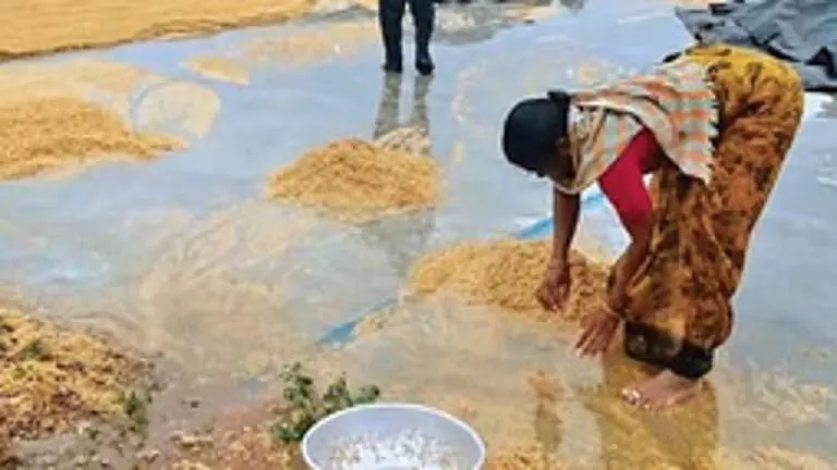 Telangana के कई हिस्सों में बेमौसम बारिश, फसलों को नुकसान की खबर Telangana के कई हिस्सों में बेमौसम बारिश, फसलों को नुकसान की खबर