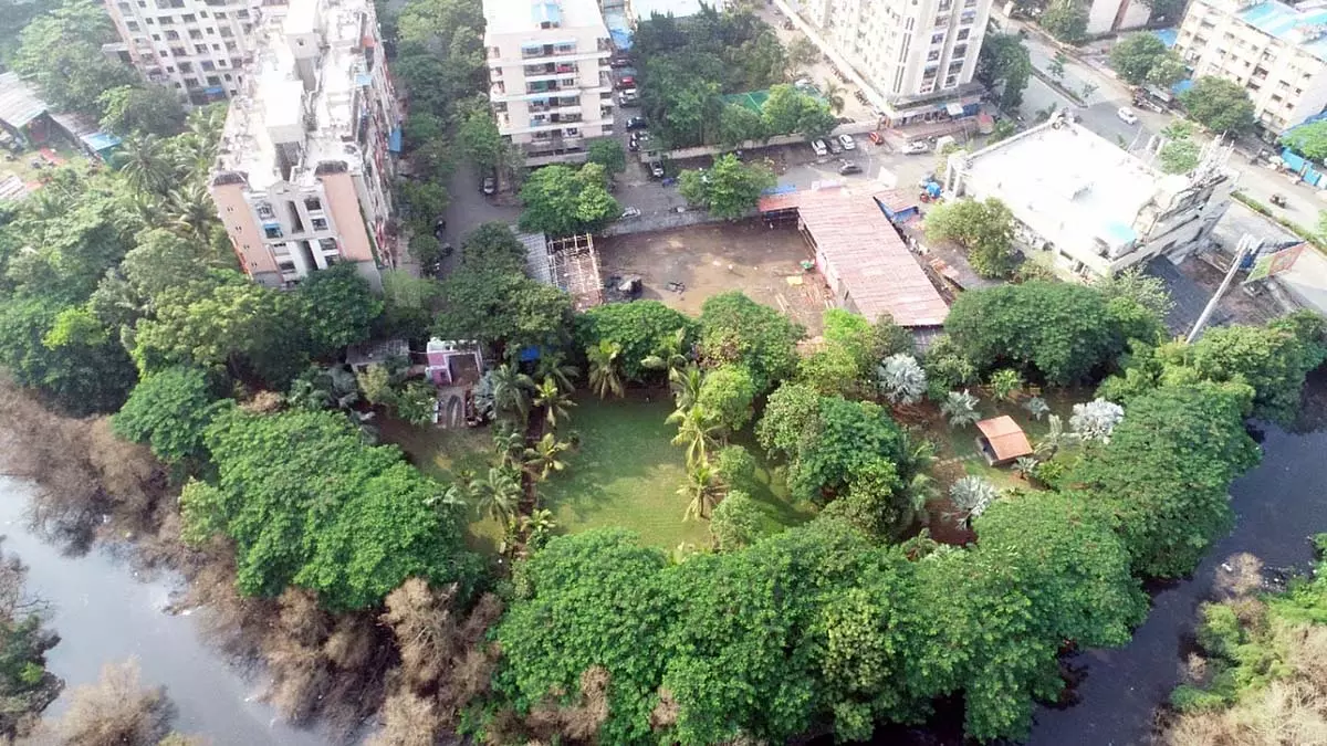 Mumbai : पर्यावरणविदों ने बेहतर वन प्रबंधन और स्थानीय वनरोपण पर जोर दिया Mumbai : पर्यावरणविदों ने बेहतर वन प्रबंधन और स्थानीय वनरोपण पर जोर दिया