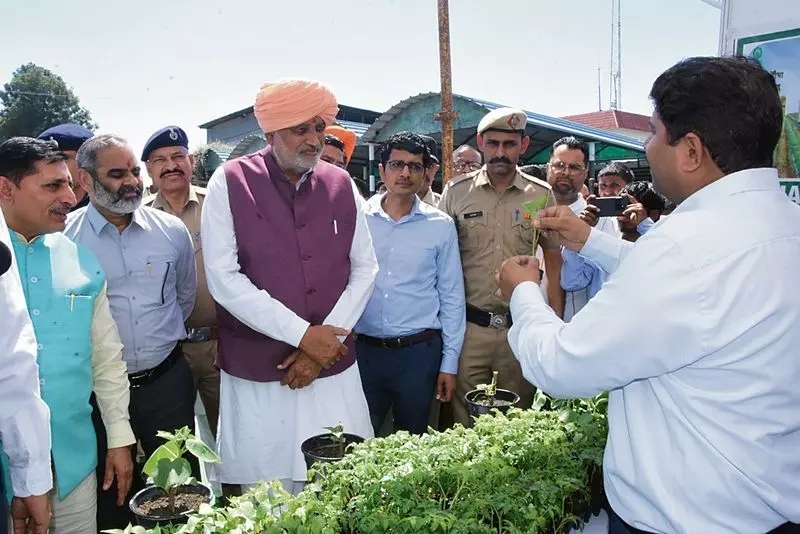 राणा ने पंजाब से एमएसपी खरीद पर Haryana का अनुसरण करने का आग्रह किया राणा ने पंजाब से एमएसपी खरीद पर Haryana का अनुसरण करने का आग्रह किया