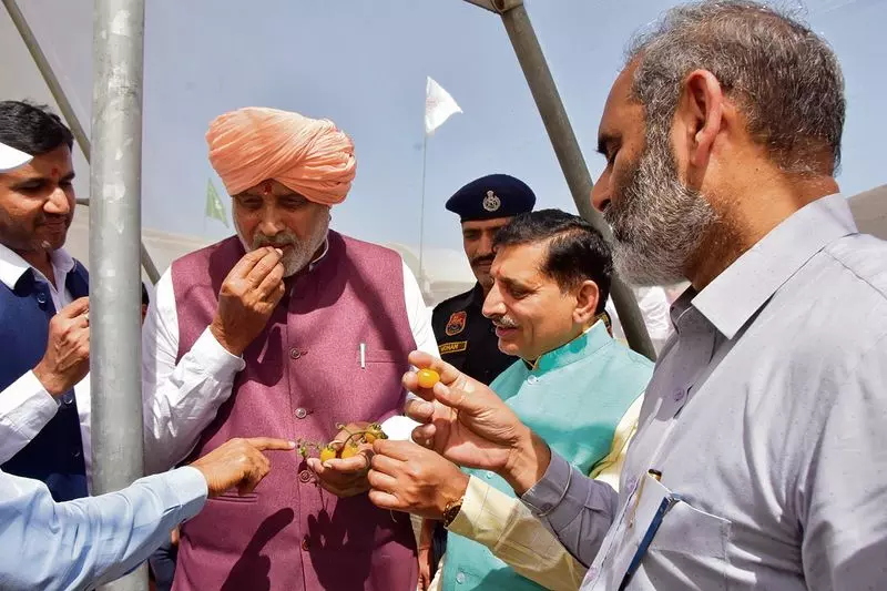 Haryana : नई बागवानी नीति मूल्य संवर्धन, भंडारण, प्रौद्योगिकी, विपणन को बढ़ावा Haryana : नई बागवानी नीति मूल्य संवर्धन, भंडारण, प्रौद्योगिकी, विपणन को बढ़ावा