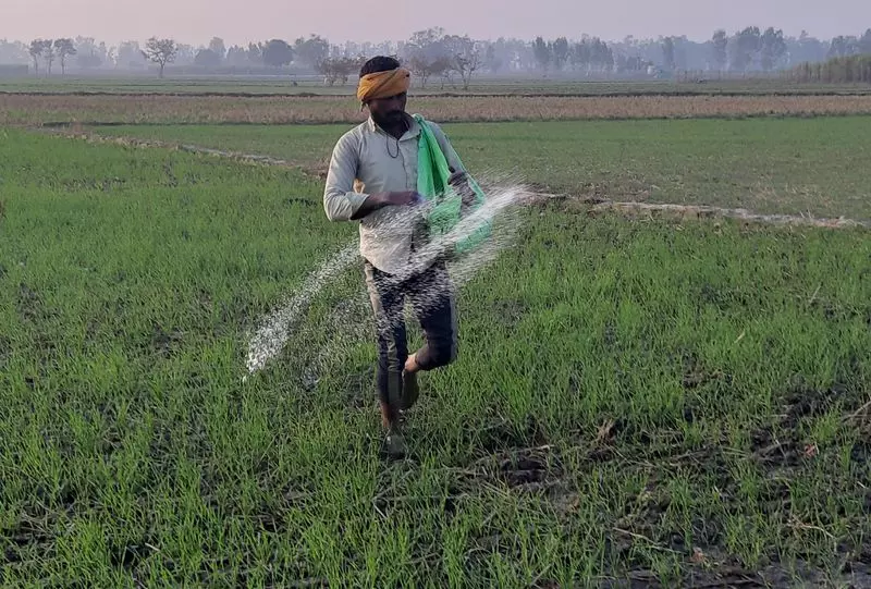 Haryana : कृषि अधिकारियों को उर्वरकों और कीटनाशकों के निरीक्षण का अधिकार दिया गया Haryana : कृषि अधिकारियों को उर्वरकों और कीटनाशकों के निरीक्षण का अधिकार दिया गया