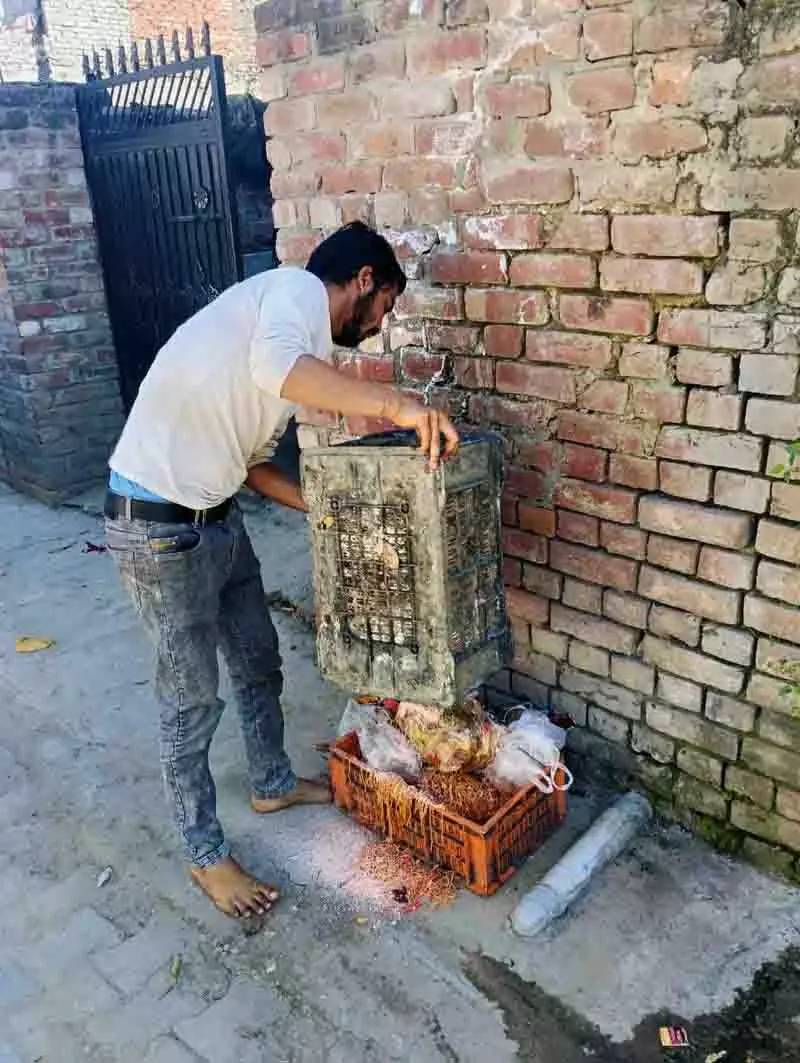 Chandigarh: फास्ट फूड दुकानों पर कार्रवाई तेज, पांच लोगों का चालान काटा गया Chandigarh: फास्ट फूड दुकानों पर कार्रवाई तेज, पांच लोगों का चालान काटा गया