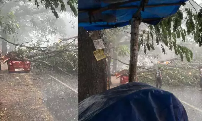 Malappuram में भारी गर्मी की बारिश Malappuram में भारी गर्मी की बारिश