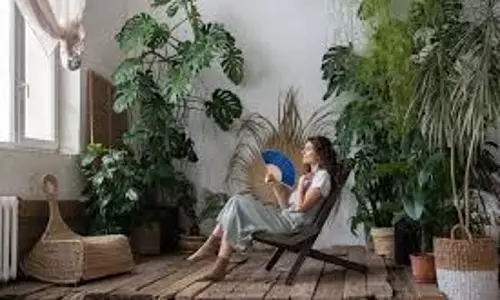 Lifestyle: गर्मियों में बिना एसी-कूलर के कैसे रखें अपने घर को ठंडा, अपनाएं ये टिप्स Lifestyle: गर्मियों में बिना एसी-कूलर के कैसे रखें अपने घर को ठंडा, अपनाएं ये टिप्स