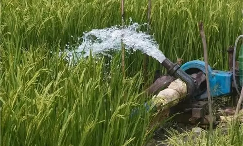 Bihar: 1307 योजनाओं के तहत 5.80 लाख हेक्टेयर भूमि को मिली सिंचाई सुविधा