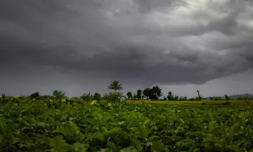 MP Weather Update : जानें कैसा रहेगा आज एमपी का मौसम