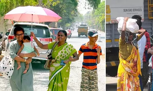 गर्मियों में प्रोटीन युक्त खाद्य पदार्थों से बचना चाहिए: लोक स्वास्थ्य विभाग