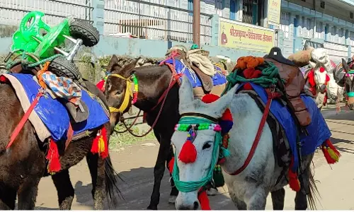 Rudraprayag: केदारनाथ यात्रा के लिए घोडा-खच्चरों का पंजीकरण शुरू हुआ Rudraprayag: केदारनाथ यात्रा के लिए घोडा-खच्चरों का पंजीकरण शुरू हुआ