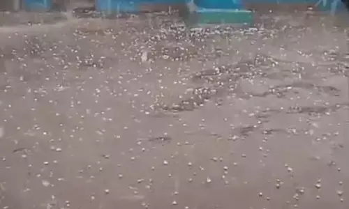 बेमौसम बारिश से सब्जियां और धान की फसल खराब