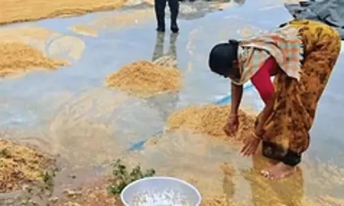 Telangana के कई हिस्सों में बेमौसम बारिश, फसलों को नुकसान की खबर