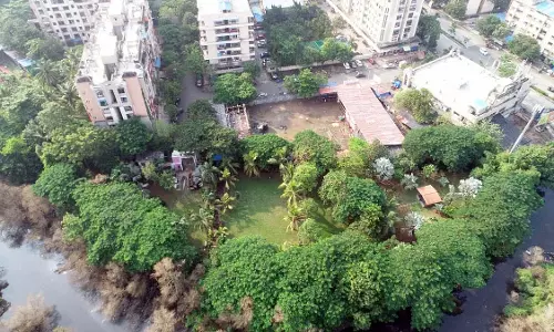 Mumbai : पर्यावरणविदों ने बेहतर वन प्रबंधन और स्थानीय वनरोपण पर जोर दिया