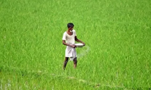 Jaipur: राजस्थान के किसानों के लिए 324 करोड़ रुपये का अनुदान जारी