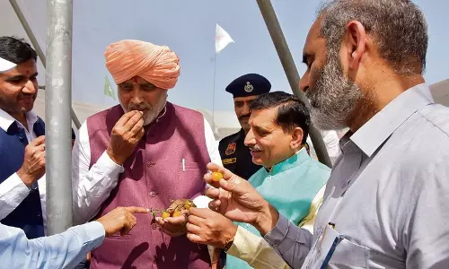 Haryana : नई बागवानी नीति मूल्य संवर्धन, भंडारण, प्रौद्योगिकी, विपणन को बढ़ावा Haryana : नई बागवानी नीति मूल्य संवर्धन, भंडारण, प्रौद्योगिकी, विपणन को बढ़ावा