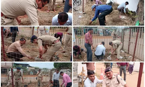 धमतरी एसपी दफ्तर में पौधा रोपण धमतरी एसपी दफ्तर में पौधा रोपण