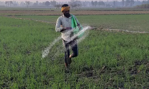 Haryana : कृषि अधिकारियों को उर्वरकों और कीटनाशकों के निरीक्षण का अधिकार दिया गया