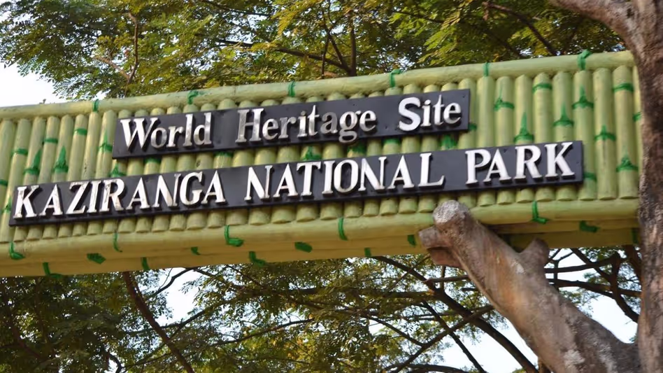Assam :   काजीरंगा राष्ट्रीय उद्यान के अधिकारियों ने शिकार विरोधी शिविरों में अच्छी गुणवत्ता वाले लकड़ी के चूल्हे वितरित किए