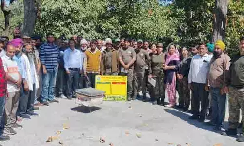 Himachal: मानव-हाथी संघर्ष को कम करने के लिए अभिनव समाधान